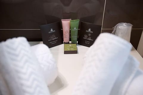 Shower, free toiletries, hair dryer, slippers