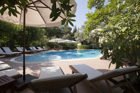 Outdoor pool, open 8:00 AM to 8:00 PM, pool umbrellas, sun loungers