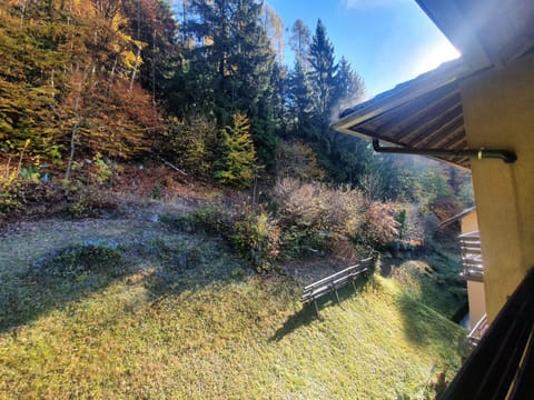 Apartment, Smoking | 1 bedroom