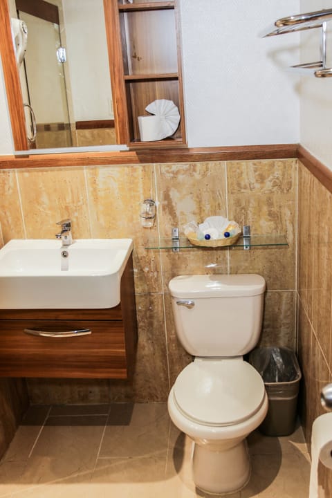 Standard Room | Bathroom | Shower, free toiletries, hair dryer, towels