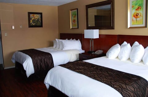 Double Room, Non Smoking, Kitchenette | Egyptian cotton sheets, premium bedding, pillowtop beds, in-room safe