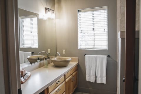 Suite 1 | Bathroom | Shower, free toiletries, hair dryer, bathrobes