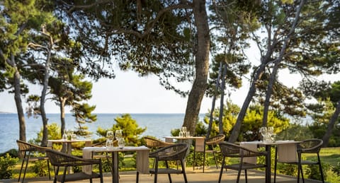 Breakfast, lunch, dinner served; beach views