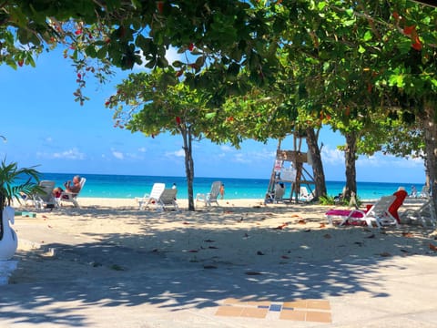 Private beach, beach bar