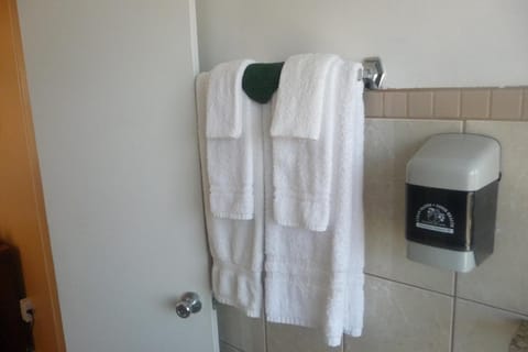 Shower, free toiletries, towels