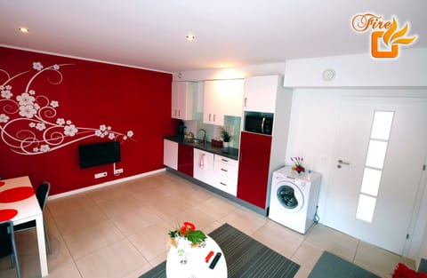 Luxury Apartment, 1 Bedroom, Hot Tub (Fire Room) | Private kitchen | Full-size fridge, microwave, stovetop, dishwasher