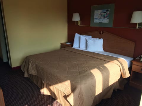 Room, 1 King Bed | Desk, free WiFi