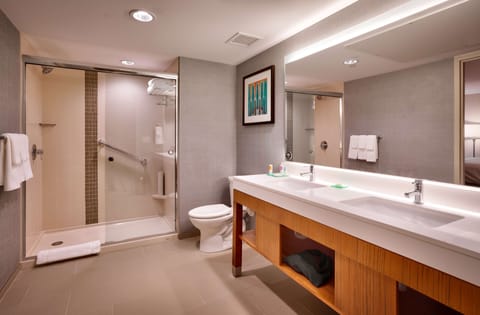 Suite One King Bed | Bathroom | Designer toiletries, hair dryer, towels