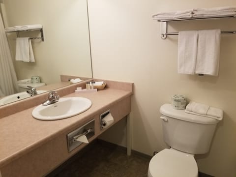 Combined shower/tub, free toiletries, hair dryer, towels