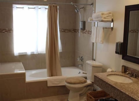 Towels, soap, shampoo, toilet paper