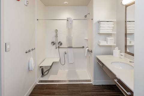 Room, 1 King Bed, Accessible (Roll In Shower) | Bathroom shower