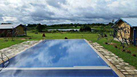 Outdoor pool, an infinity pool, sun loungers