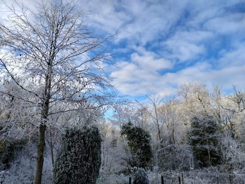 Comfort Double Room, 1 Bedroom, Balcony, Garden View (Aspen) | Blackout drapes, iron/ironing board, free WiFi