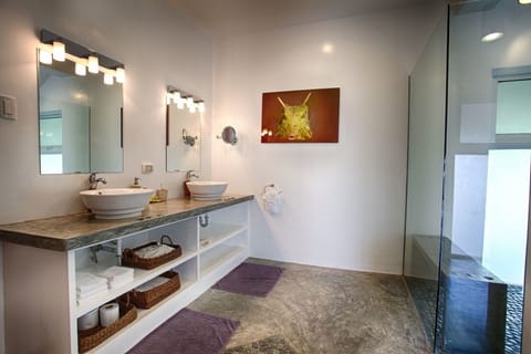 Deluxe Penthouse | Bathroom | Shower, rainfall showerhead, free toiletries, hair dryer