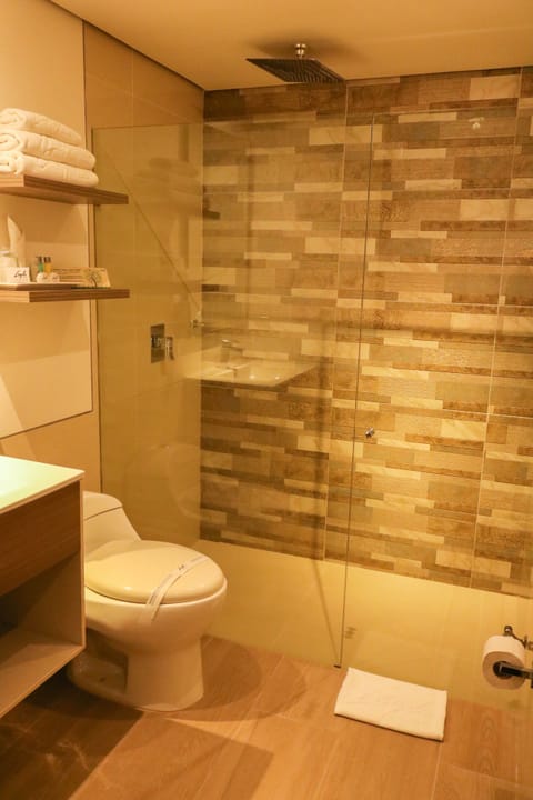 Premium Room | Bathroom | Shower, hair dryer, towels