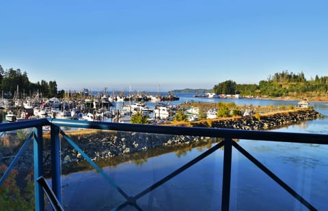 Standard Room, 2 Queen Beds, Ocean View | Balcony view