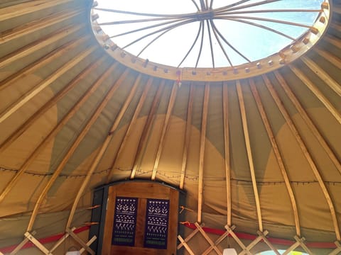 Cabin | Miscellaneous