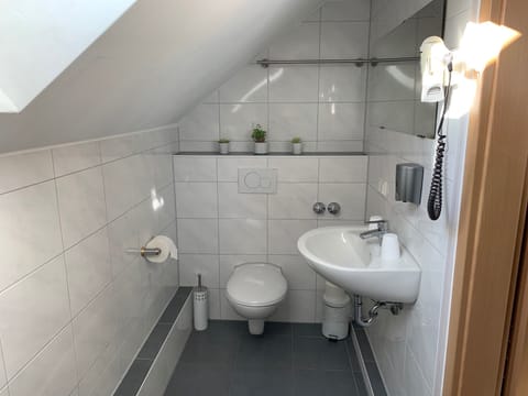 Double or Twin Room | Bathroom | Shower, hair dryer, towels