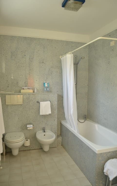 Hair dryer, bidet, towels