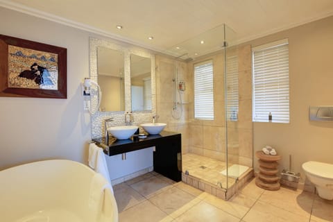 Separate tub and shower, free toiletries, hair dryer, bathrobes