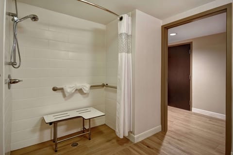 Room, 1 King Bed, Accessible, Non Smoking | Bathroom shower