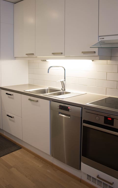 Comfort Apartment, 1 Bedroom, City View | Private kitchen