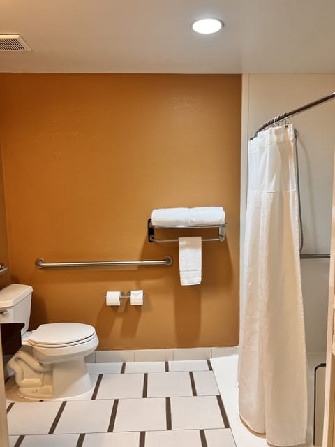 Combined shower/tub, hair dryer, towels