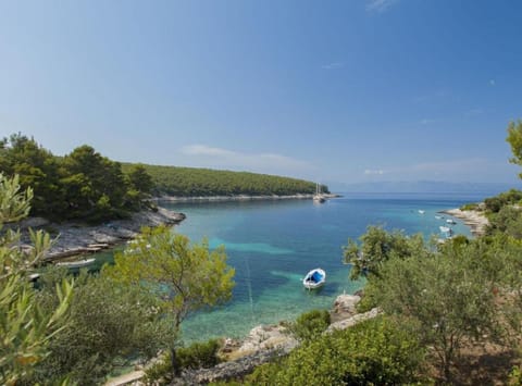 House (House B - 45 m from The Sea) | Aerial view