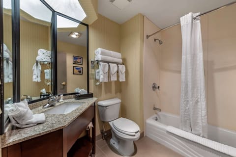 Combined shower/tub, deep soaking tub, free toiletries, hair dryer