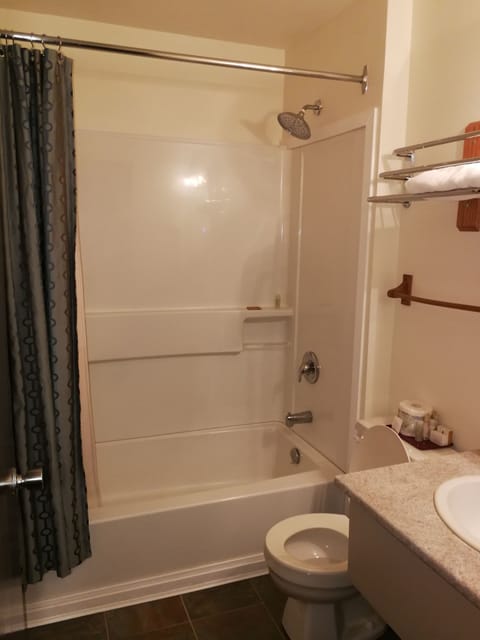 Combined shower/tub, free toiletries, hair dryer, towels