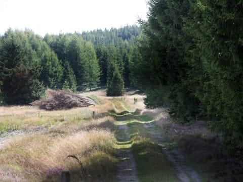 House | Miscellaneous