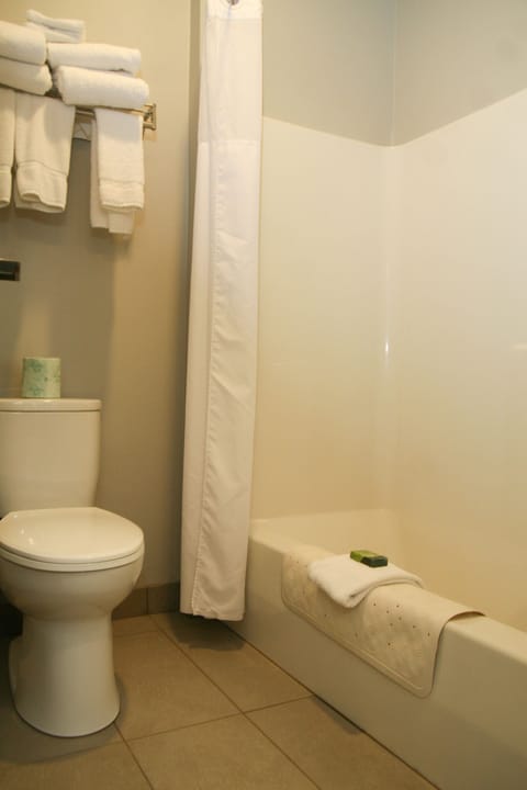 Combined shower/tub, hair dryer, towels