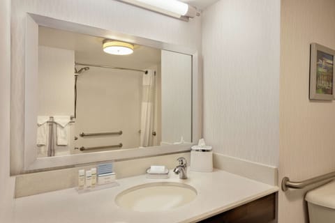 Room, 1 King Bed, Accessible, Bathtub | Bathroom | Combined shower/tub, free toiletries, hair dryer, towels