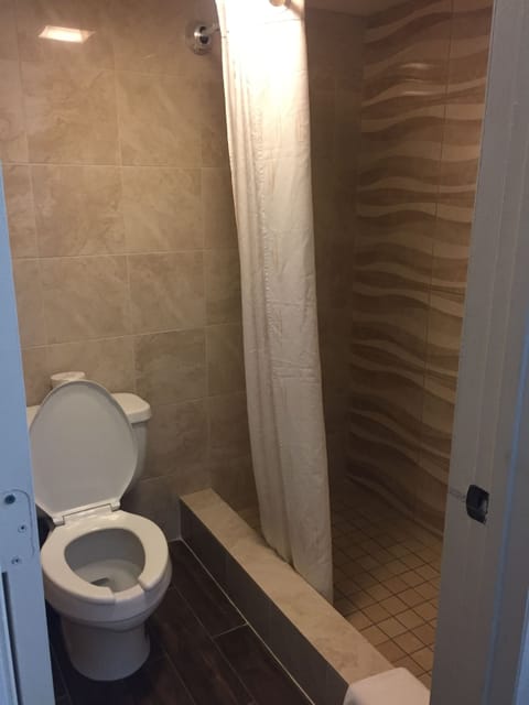 Standard Room, 1 King Bed, Non Smoking | Bathroom shower