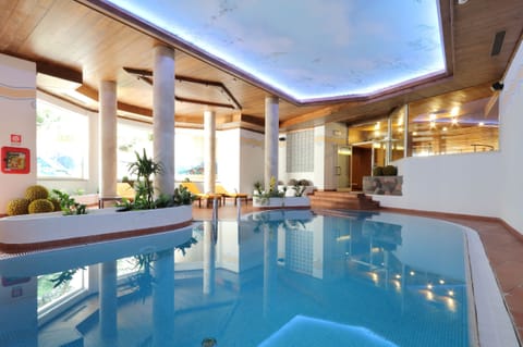 Indoor pool, sun loungers