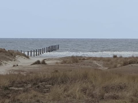 Apartment | Internet