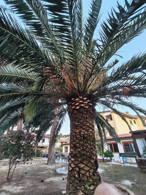 Shower, hair dryer, towels, toilet paper