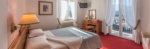 Deluxe Double or Twin Room | In-room safe, desk, rollaway beds, free WiFi