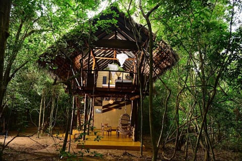 Tree House, Garden View | Desk, soundproofing, free WiFi