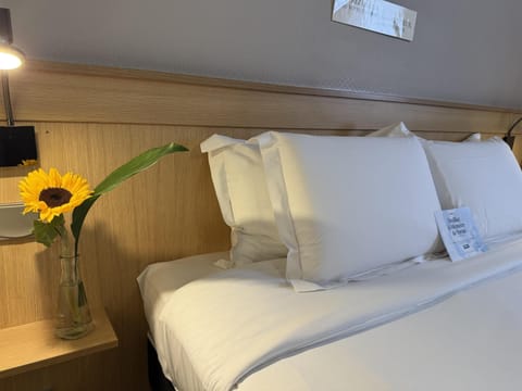 Standard Room, 1 Double Bed | Desk, free cribs/infant beds, free WiFi, bed sheets