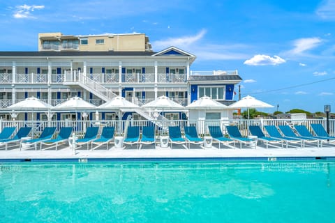 Outdoor pool, sun loungers