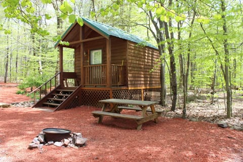 Camping Cabin #1 with Fire Pit | Front of property