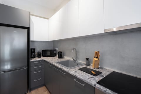 Superior Apartment, 2 Bedrooms, Balcony, City View | Private kitchen | Fridge, microwave, oven, stovetop