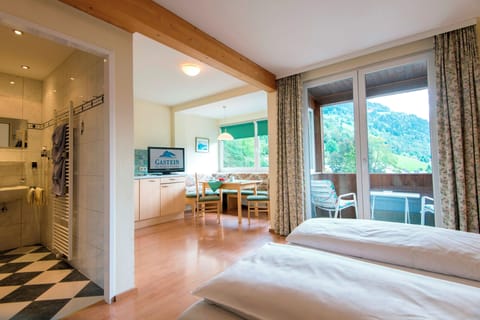 Classic Studio, Balcony, Mountain View | Private kitchen | Highchair