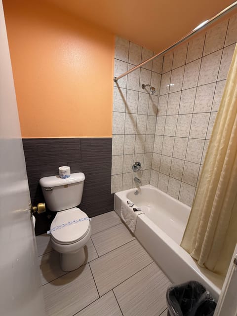 Standard Double Room | Bathroom | Towels, soap, shampoo, toilet paper