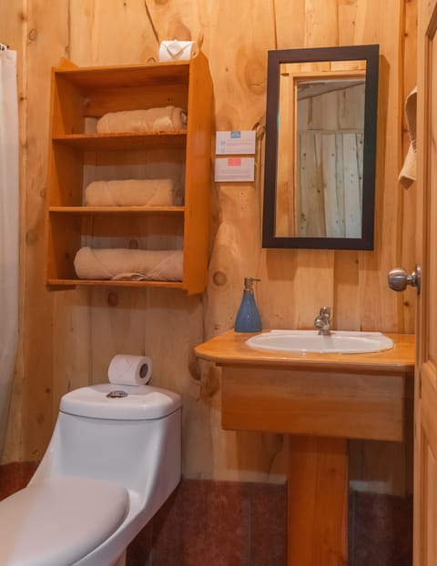 Standard Cabin | Bathroom | Shower, rainfall showerhead, free toiletries, towels