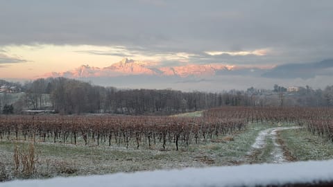 Land view from property