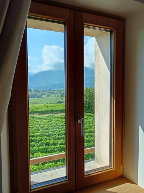 Land view from property