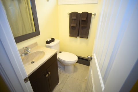 Standard Room, 2 Double Beds | Bathroom | Free toiletries, towels, soap, shampoo