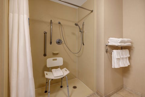 Room, Accessible, Non Smoking | Bathroom shower